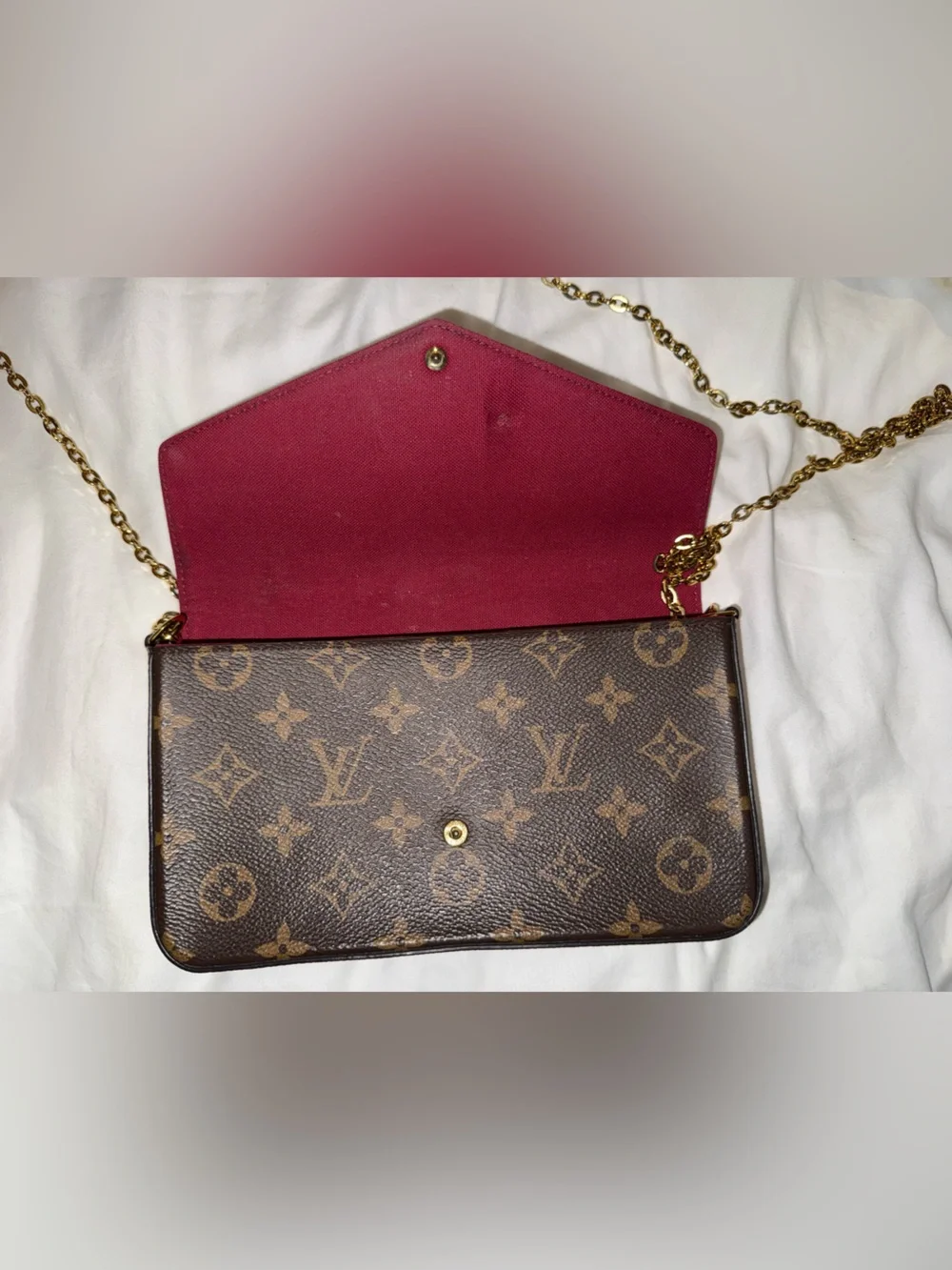 Louis Vuitton classic louis